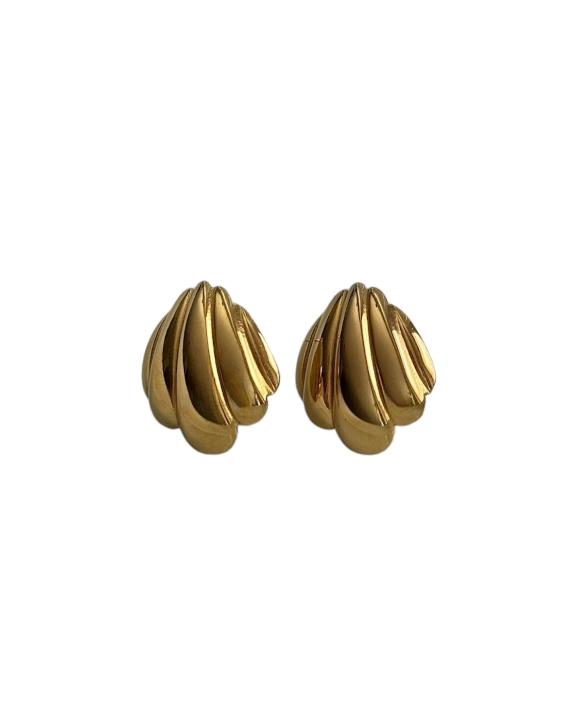 Golden Shell Earrings